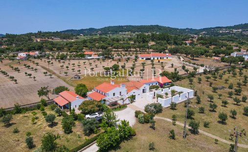 Finca in Reguengo e Sao Juliao, Portalegre District, Portugal 1