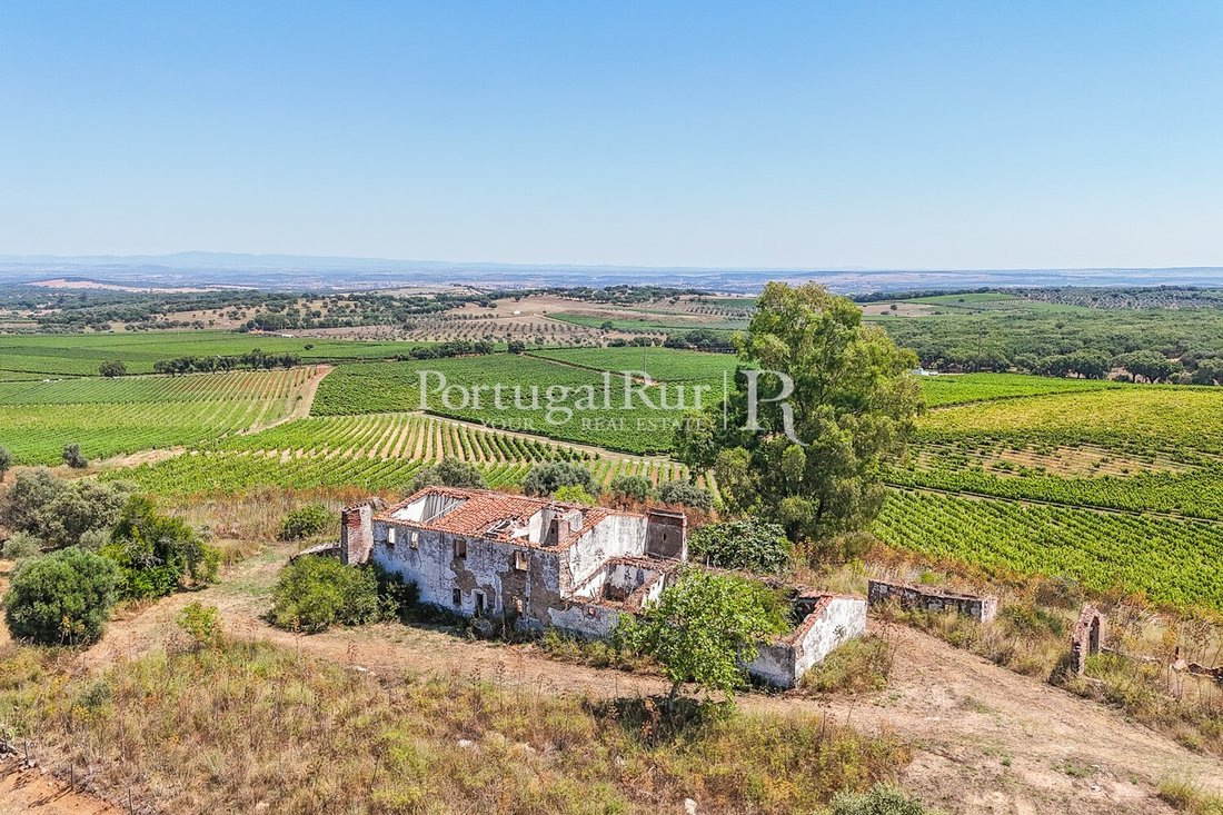 Estate in Rio Mau e Arcos, Porto District, Portugal 3 - 14596355