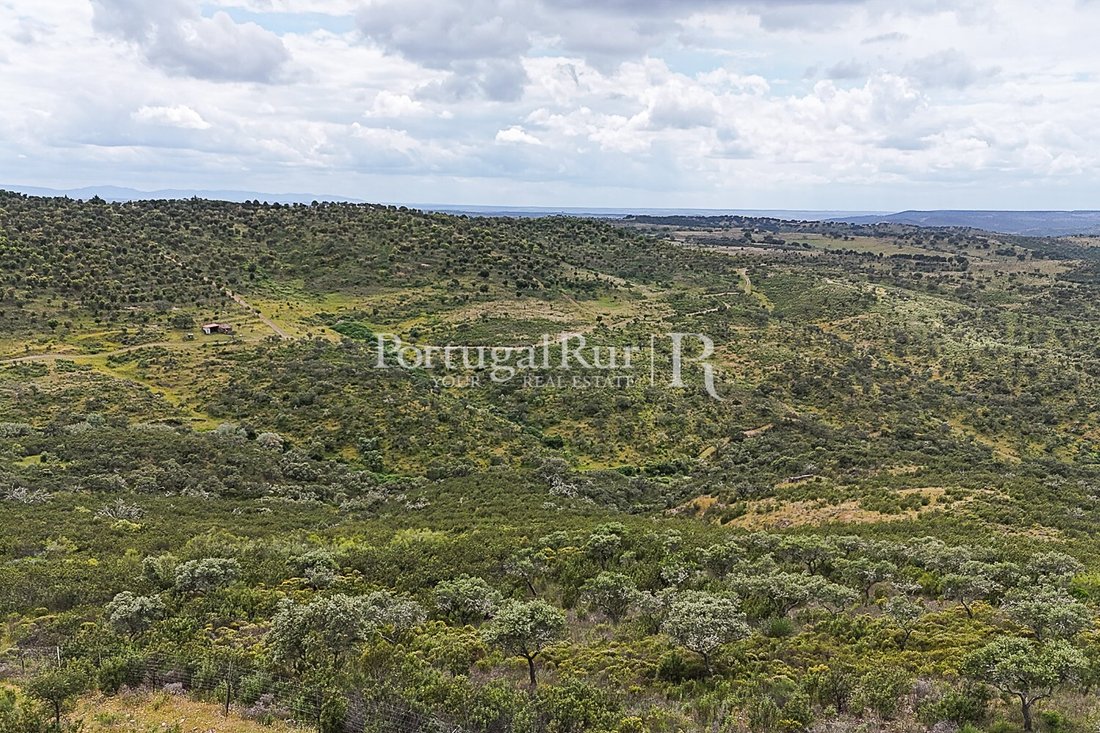 Land in Rosmaninhal, Castelo Branco District, Portugal 4 - 15763709