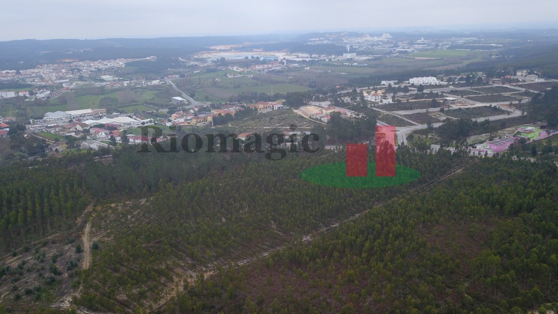 Land in Rio Maior, Santarem District, Portugal 4 - 12609681