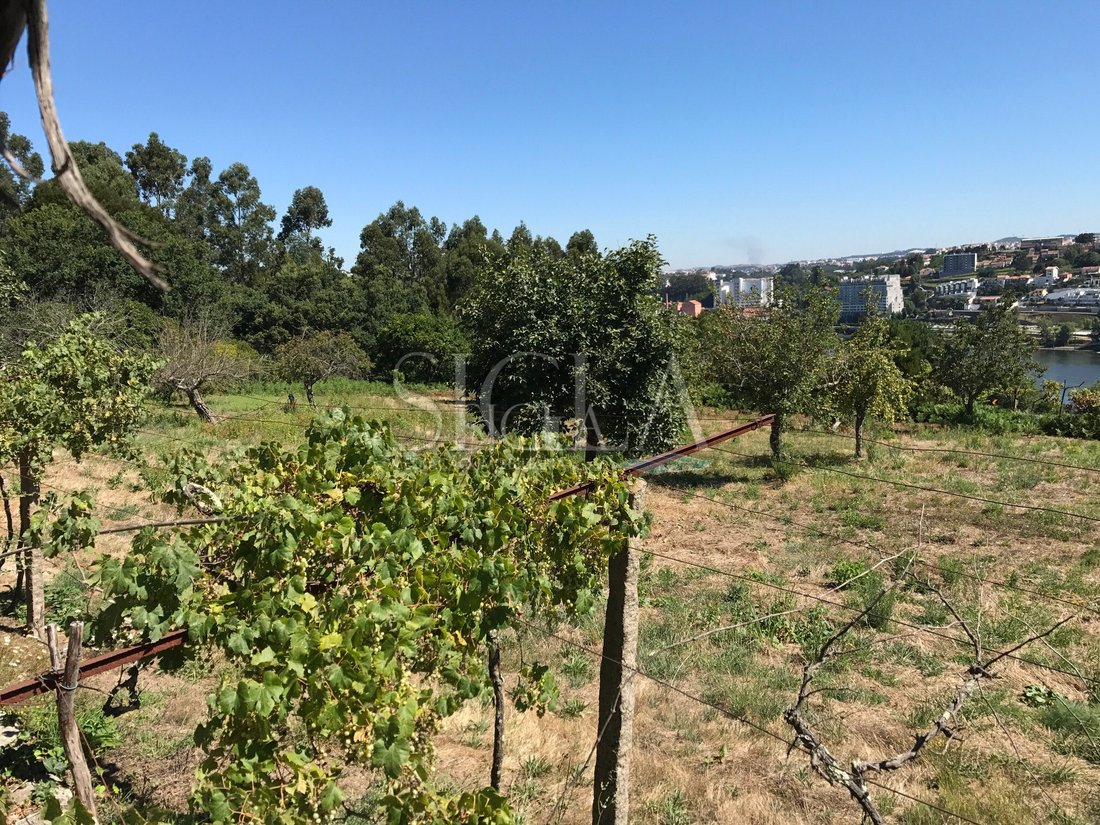 Land in Oliveira do Douro, Porto District, Portugal 5 - 12439335