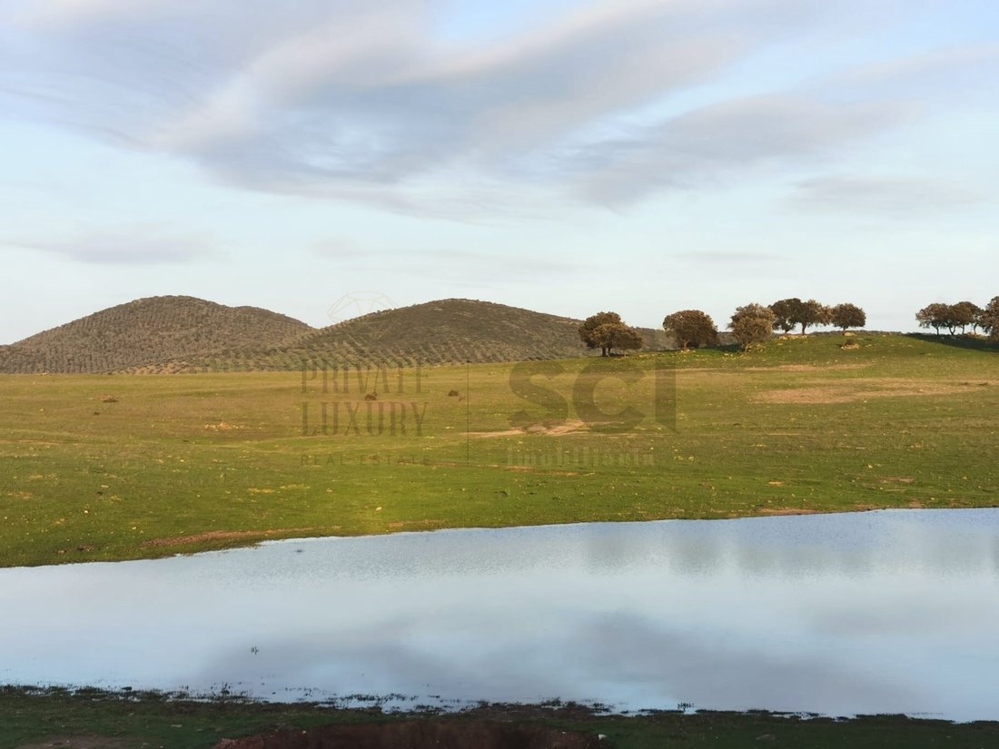 Land in Vila Verde de Ficalho, Beja District, Portugal 2 - 15306895