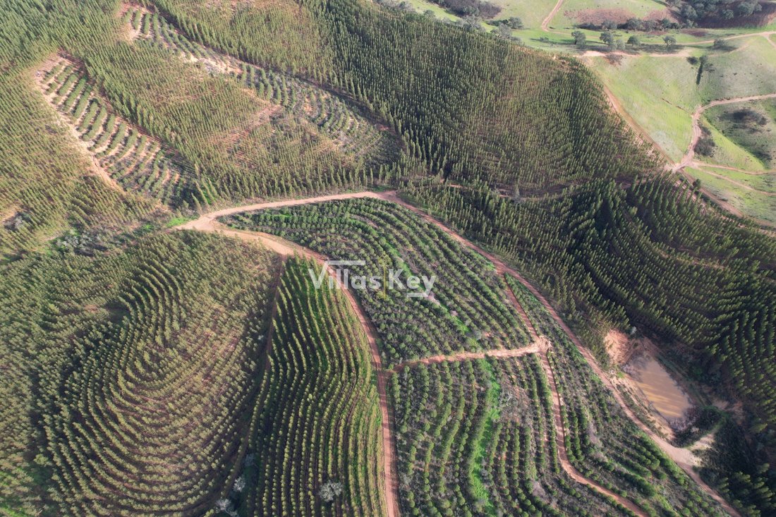 Estate in Sao Salvador e Santa Maria, Beja District, Portugal 3 - 12475667