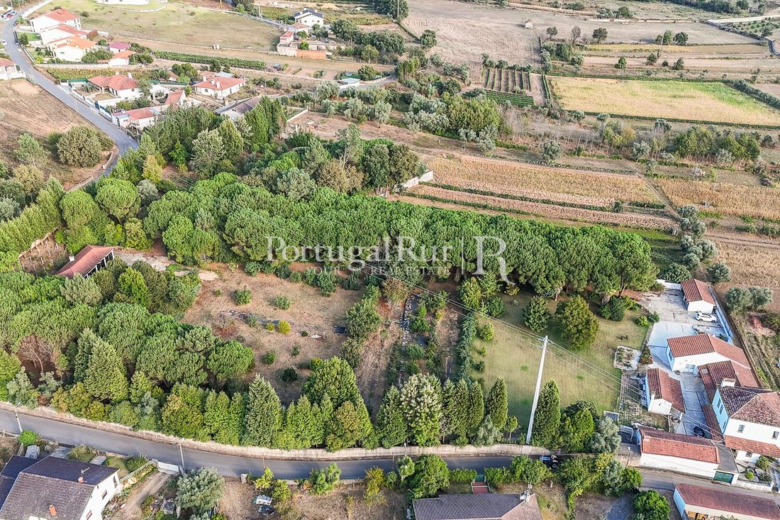 Finca in Valongo do Vouga, Aveiro District, Portugal 3 - 16533723