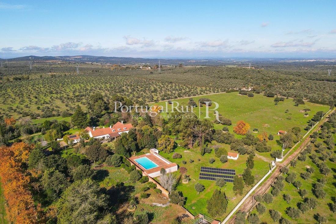 Finca in Torre de Coelheiros, Évora District, Portugal 2 - 14876442