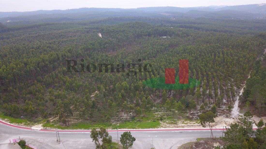 Land in Rio Maior, Santarem District, Portugal 2 - 12276235