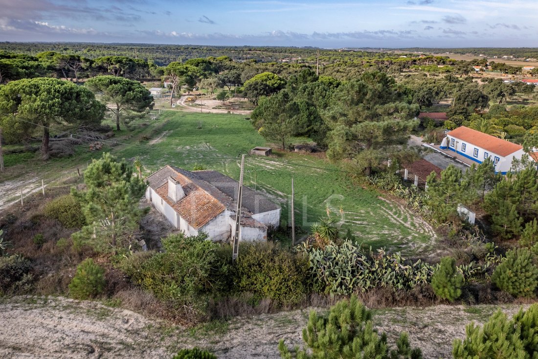 Haus in Melides, Setúbal Municipality, Portugal 2 - 16664526