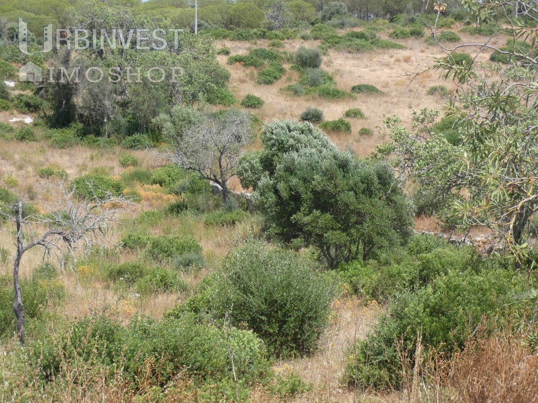 Land in Ferragudo, Algarve, Portugal 3 - 14899533