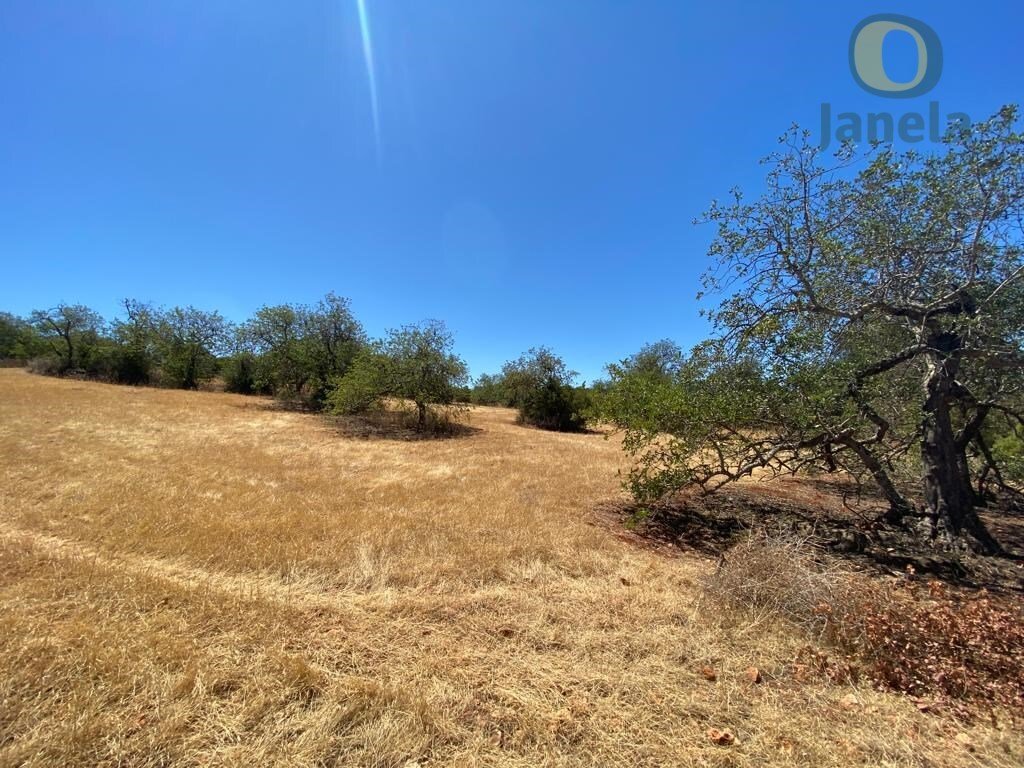 Land in Almancil, Algarve, Portugal 4 - 14549571