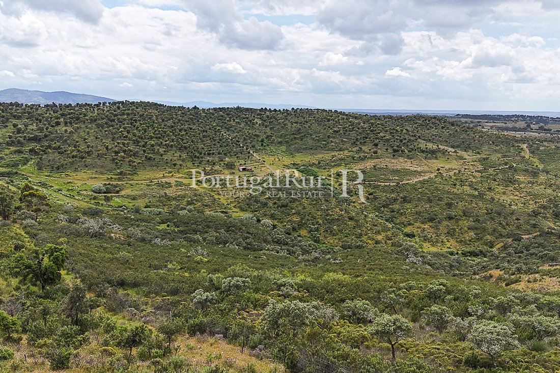 Land in Rosmaninhal, Castelo Branco District, Portugal 5 - 15763709