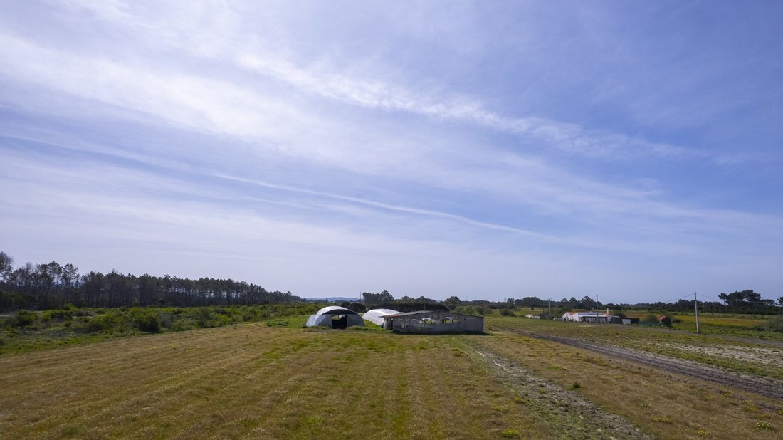 Finca in Rogil, Algarve, Portugal 4 - 16392689