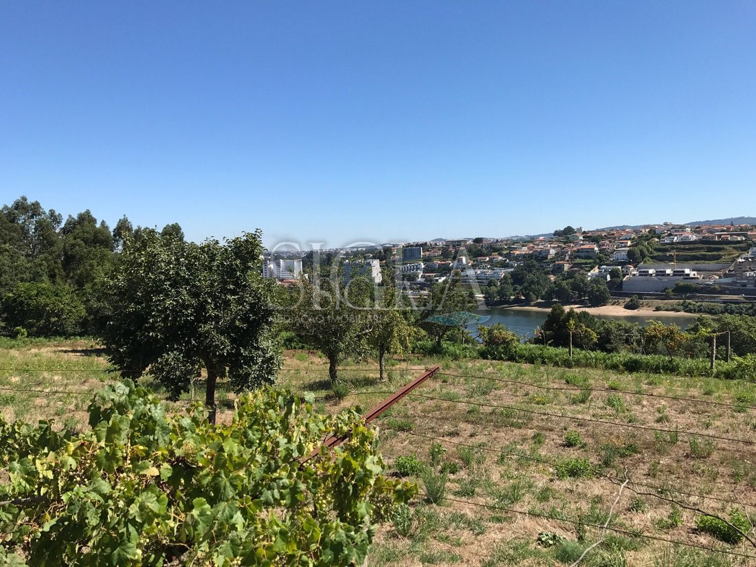 Land in Oliveira do Douro, Porto District, Portugal 2 - 12439335
