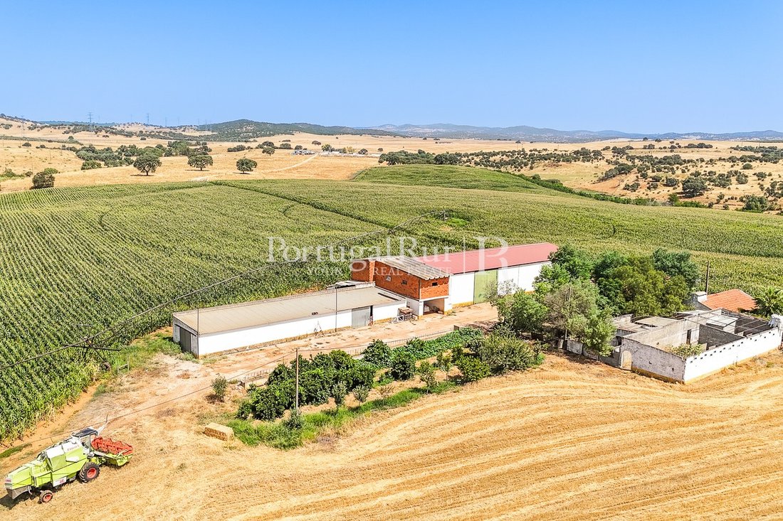 Estate in Evora (Sao Mamede, Se, Sao Pedro e Santo Antao), Évora District, Portugal 5 - 16279323