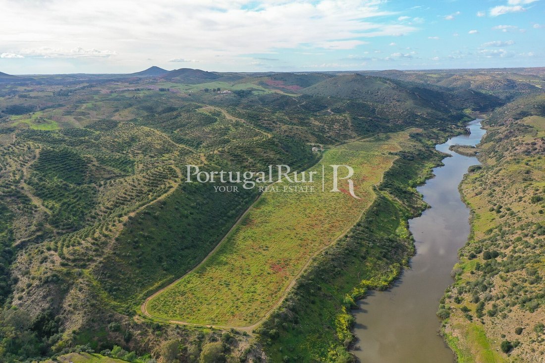 Domaine à São Miguel do Pinheiro, Beja, Portugal 1 - 14172484