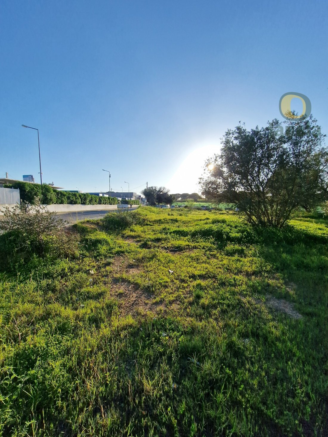 Land in Montenegro, Algarve, Portugal 4 - 15711242
