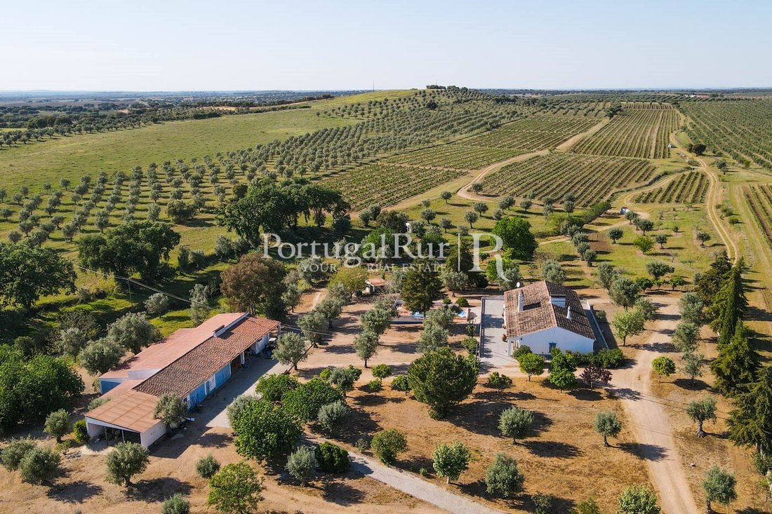 Estate in Galveias, Portalegre District, Portugal 2 - 14876612