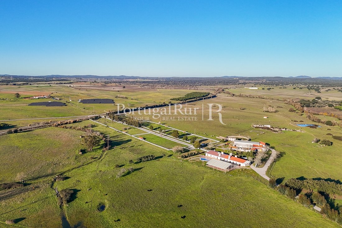 Estate in Evora (Sao Mamede, Se, Sao Pedro e Santo Antao), Évora District, Portugal 4 - 15238577