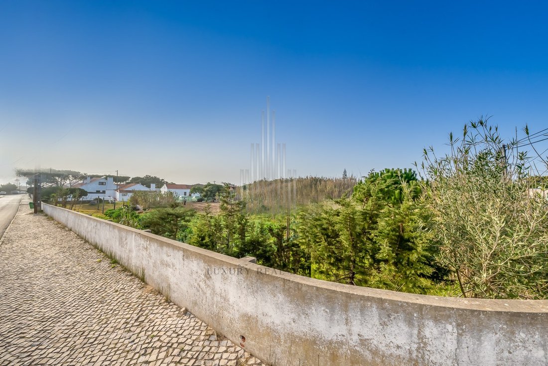 Land in Colares, Lisbon, Portugal 1 - 12276174