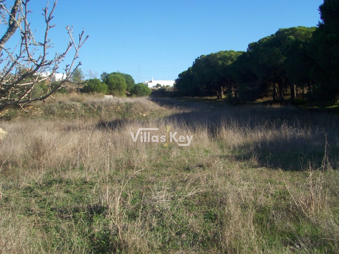 Land in Montenegro, Algarve, Portugal 3 - 12506837