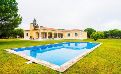 House in Santo Estevao, Santarem District, Portugal 1