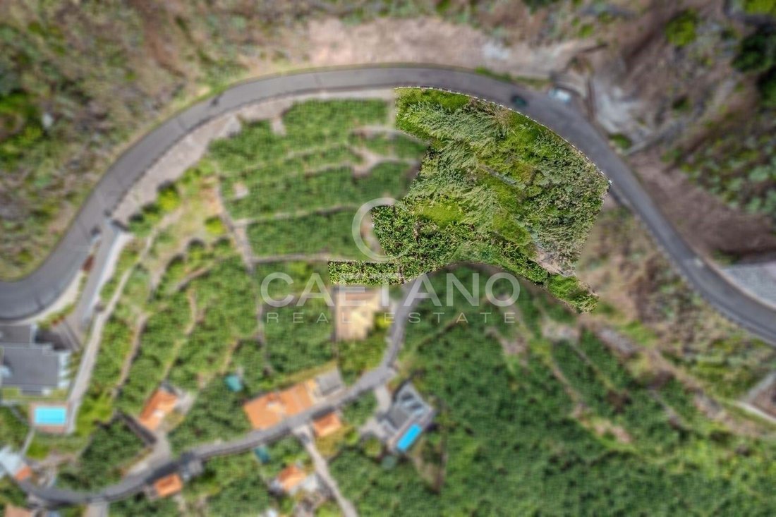 Terreno a Calheta, Madera, Portogallo 4 - 16659207