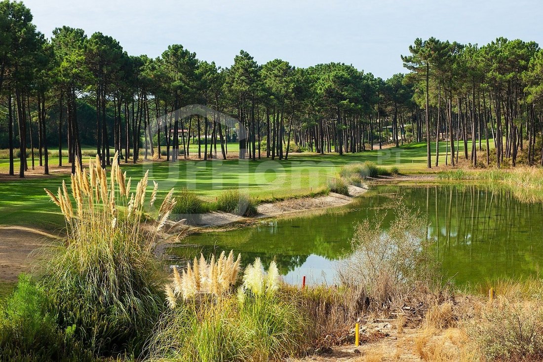 Land in Herdade Da Aroeira, Charneca de Caparica e Sobreda, Setubal 3 - 14349838