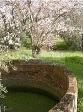 Finca in Vila de Frades, Beja District, Portugal 4 - 12464065