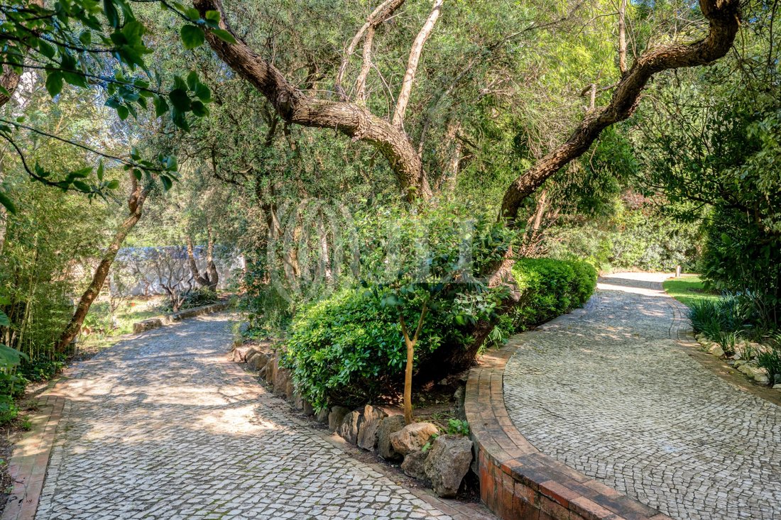 Land in Cascais e Estoril, Lisbon, Portugal 1 - 14098686