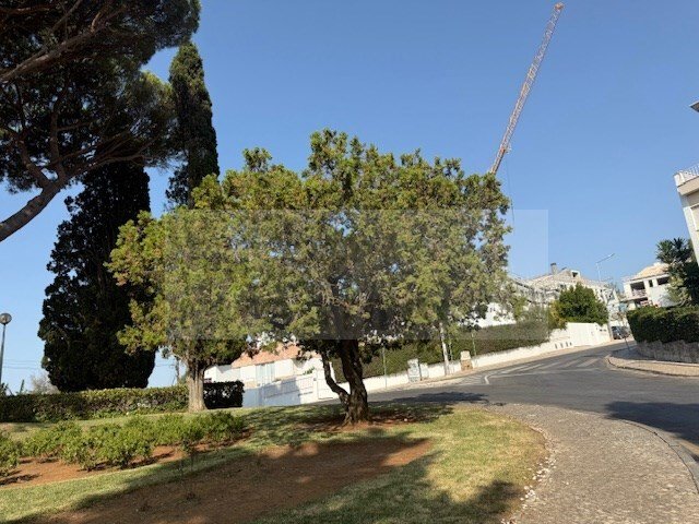 Land in Cascais e Estoril, Lisbon, Portugal 3 - 16017429