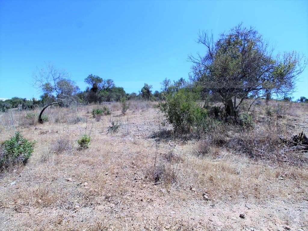 Land in Algoz e Tunes, Algarve, Portugal 1 - 12275377