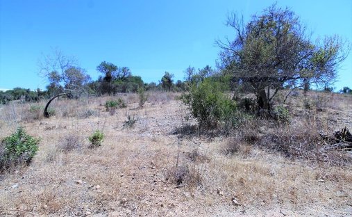 Terreno a Algoz e Tunes, Algarve, Portogallo 1