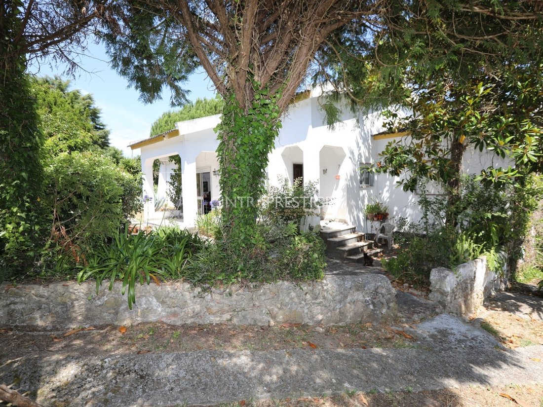 House in Sintra, Lisbon, Portugal 1 - 16014962