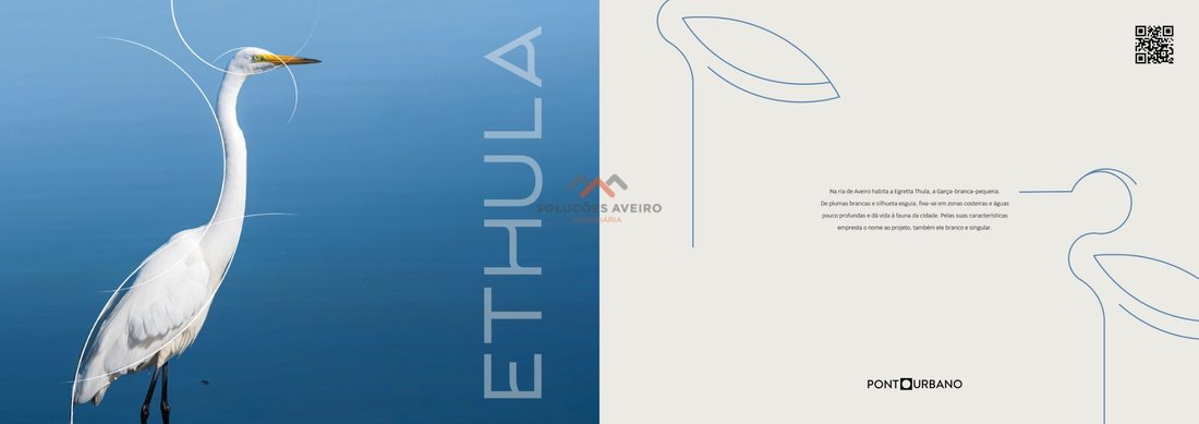 Apartment in Gloria e Vera Cruz, Aveiro District, Portugal 4 - 16570022