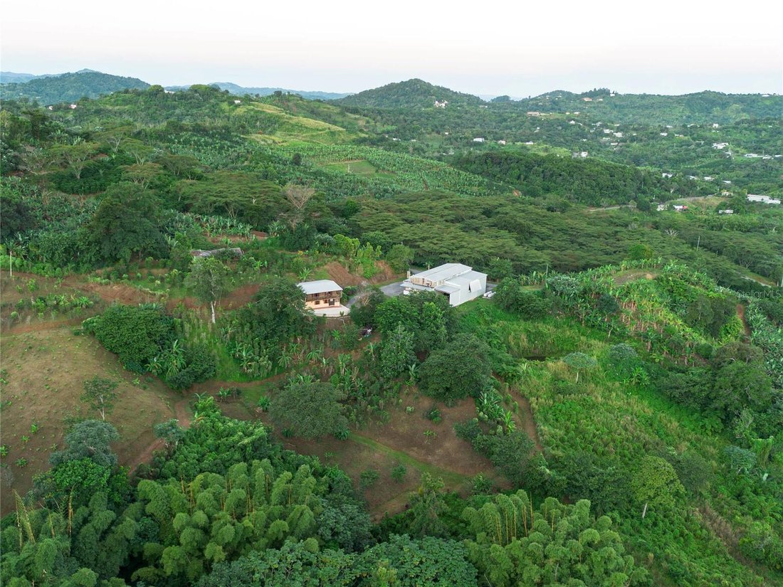 Farm Ranch in ADJUNTAS, PR, United States 3 - 16718779