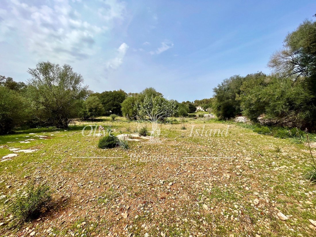 Land in Algaida, Balearic Islands, Spain 3 - 14947506