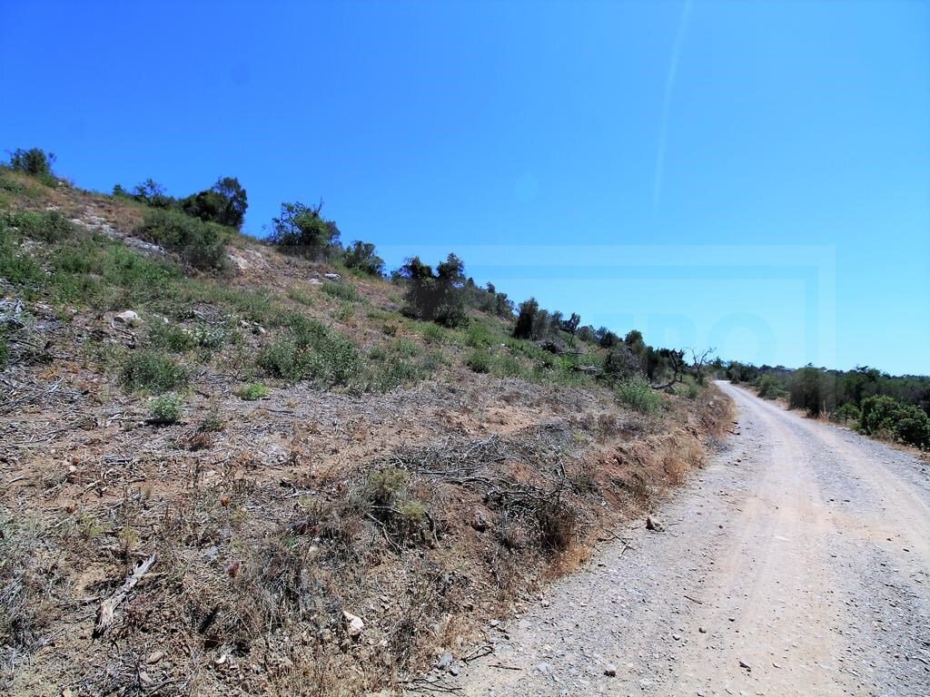 Land in Algoz e Tunes, Algarve, Portugal 3 - 12275377