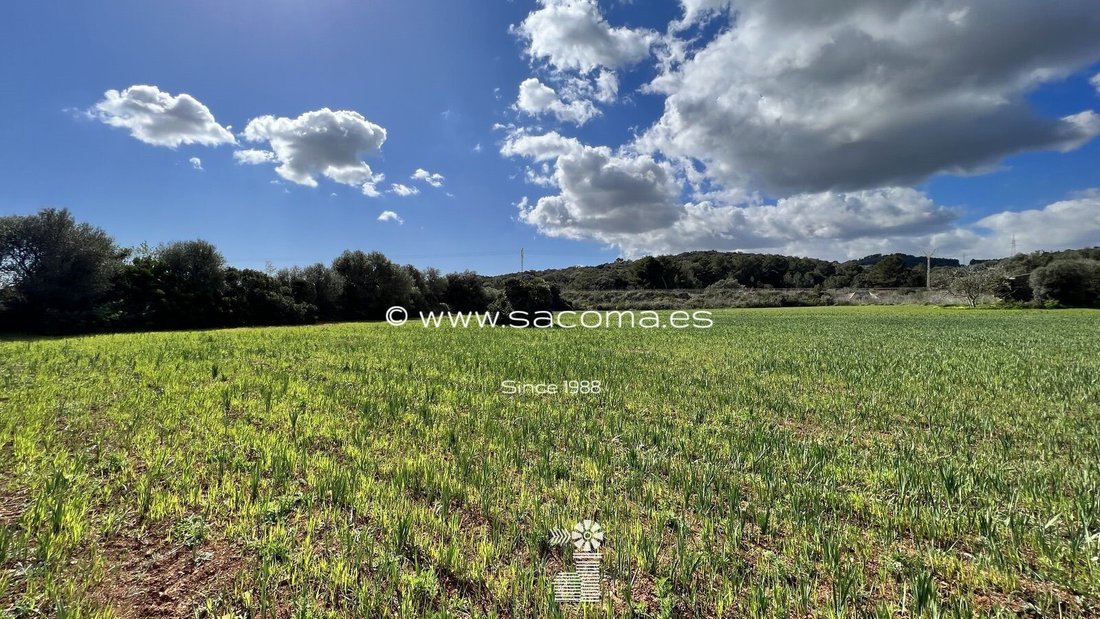 Land in Arta, Balearic Islands, Spain 2 - 12629095
