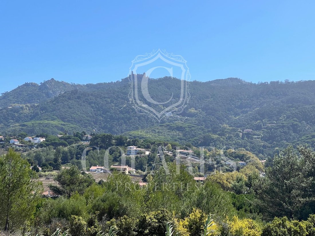 Land in Sintra, Lisbon, Portugal 4 - 16253098