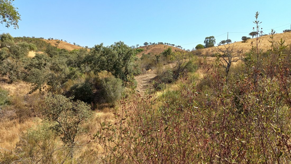 Finca in Ourique, Beja District, Portugal 3 - 16195874