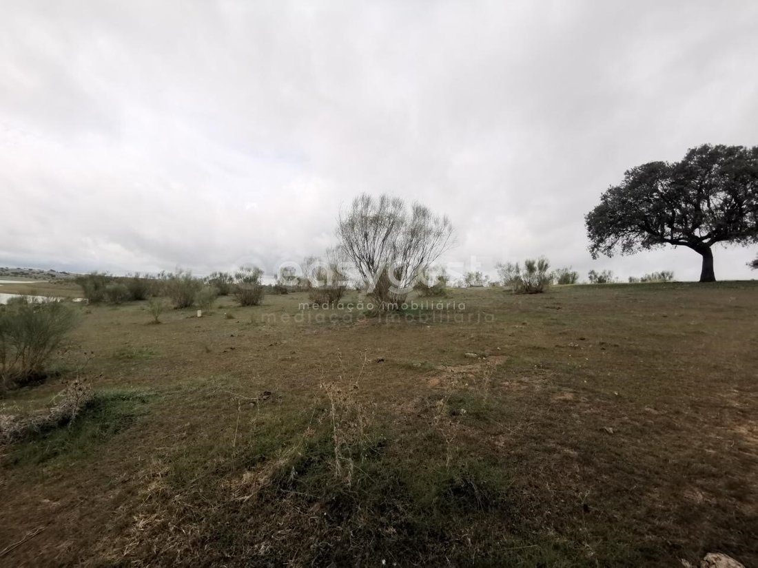 Land in Amieira e Alqueva, Évora District, Portugal 3 - 15728650