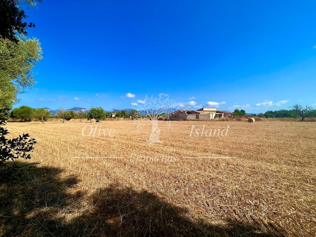 Land in Inca, Balearic Islands, Spain 4 - 16329406