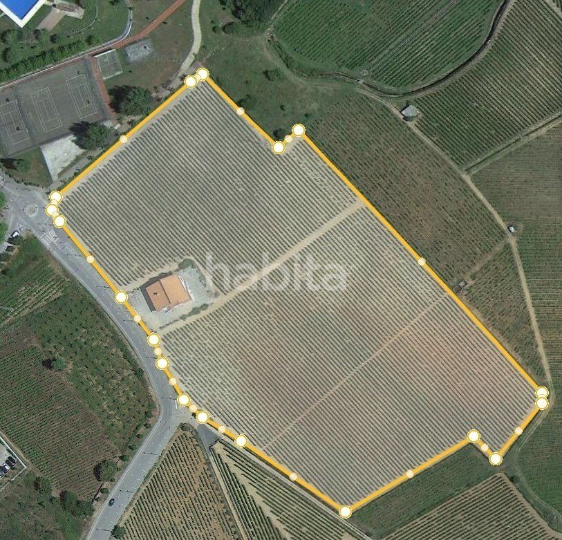 Finca in Alijó, Vila Real District, Portugal 3 - 15263651