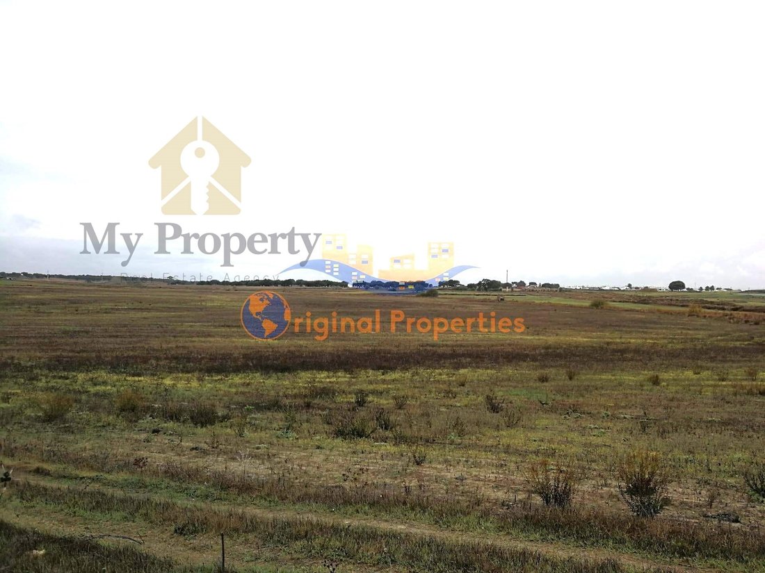 Land in Figueira dos Cavaleiros, Beja District, Portugal 1 - 16502886