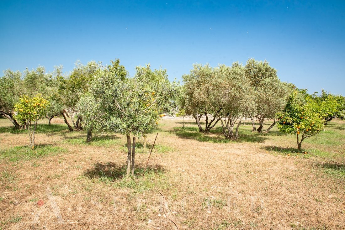 Land in Alcudia, Balearic Islands, Spain 3 - 12275910