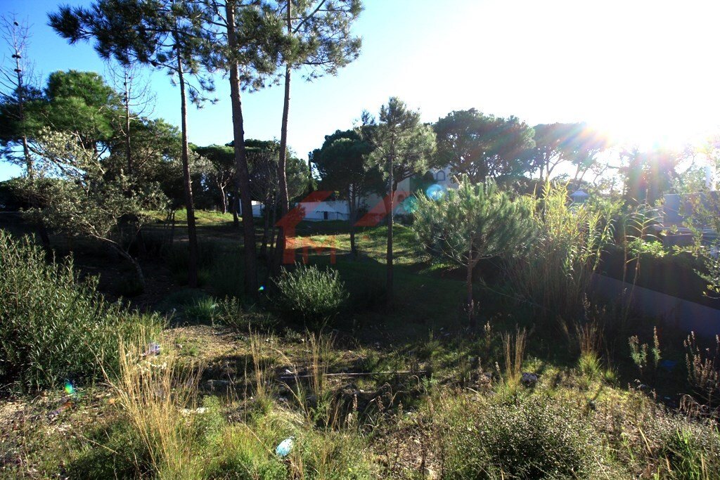 Land in Almancil, Algarve, Portugal 1 - 10554077