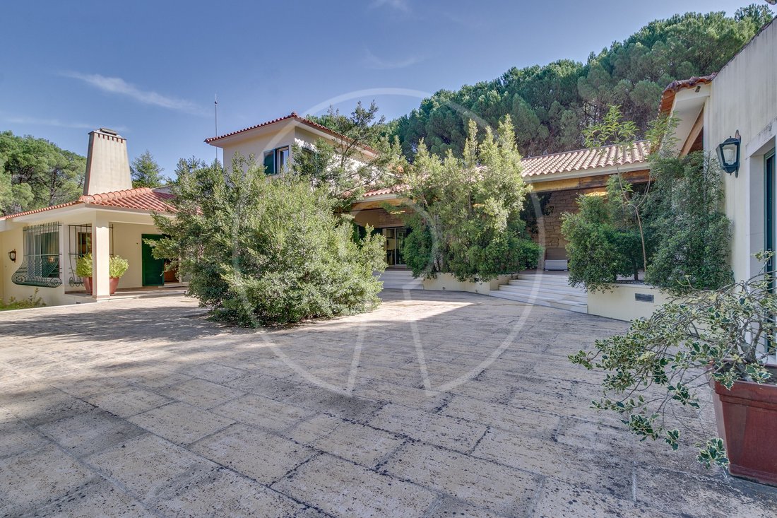 House in Santo Estevao, Santarem District, Portugal 3 - 16484233