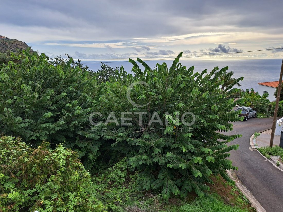 Land in Arco da Calheta, Madeira, Portugal 3 - 16659234