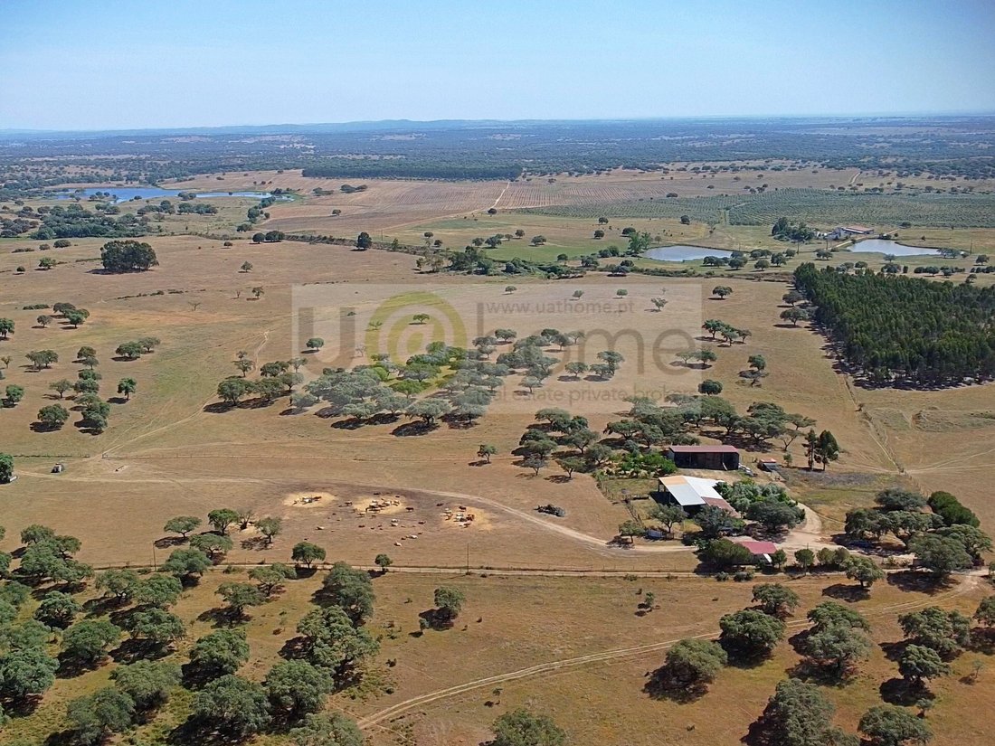 Land in Santiago do Escoural, Évora District, Portugal 1 - 12878192