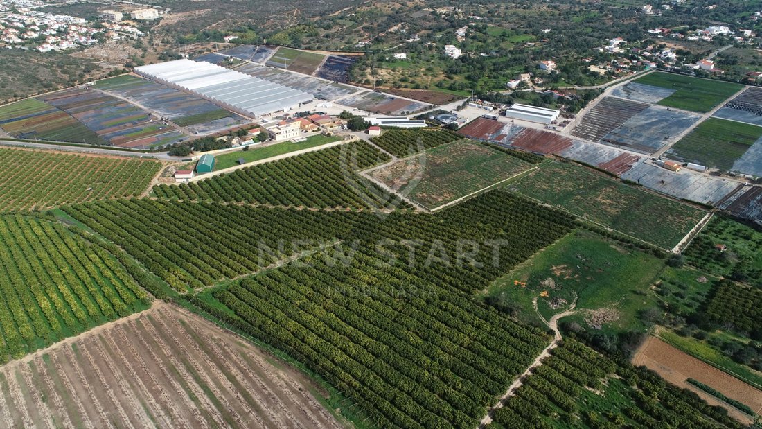 Finca in Quelfes, Algarve, Portugal 5 - 12766365