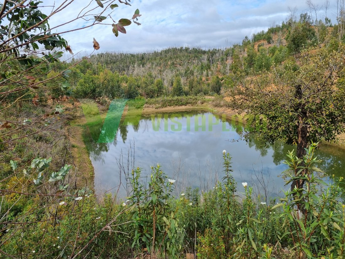 Land in Silves, Algarve, Portugal 1 - 12297073